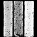 soil core samples